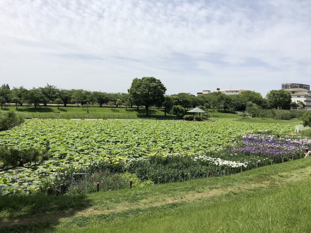 白鷺公園